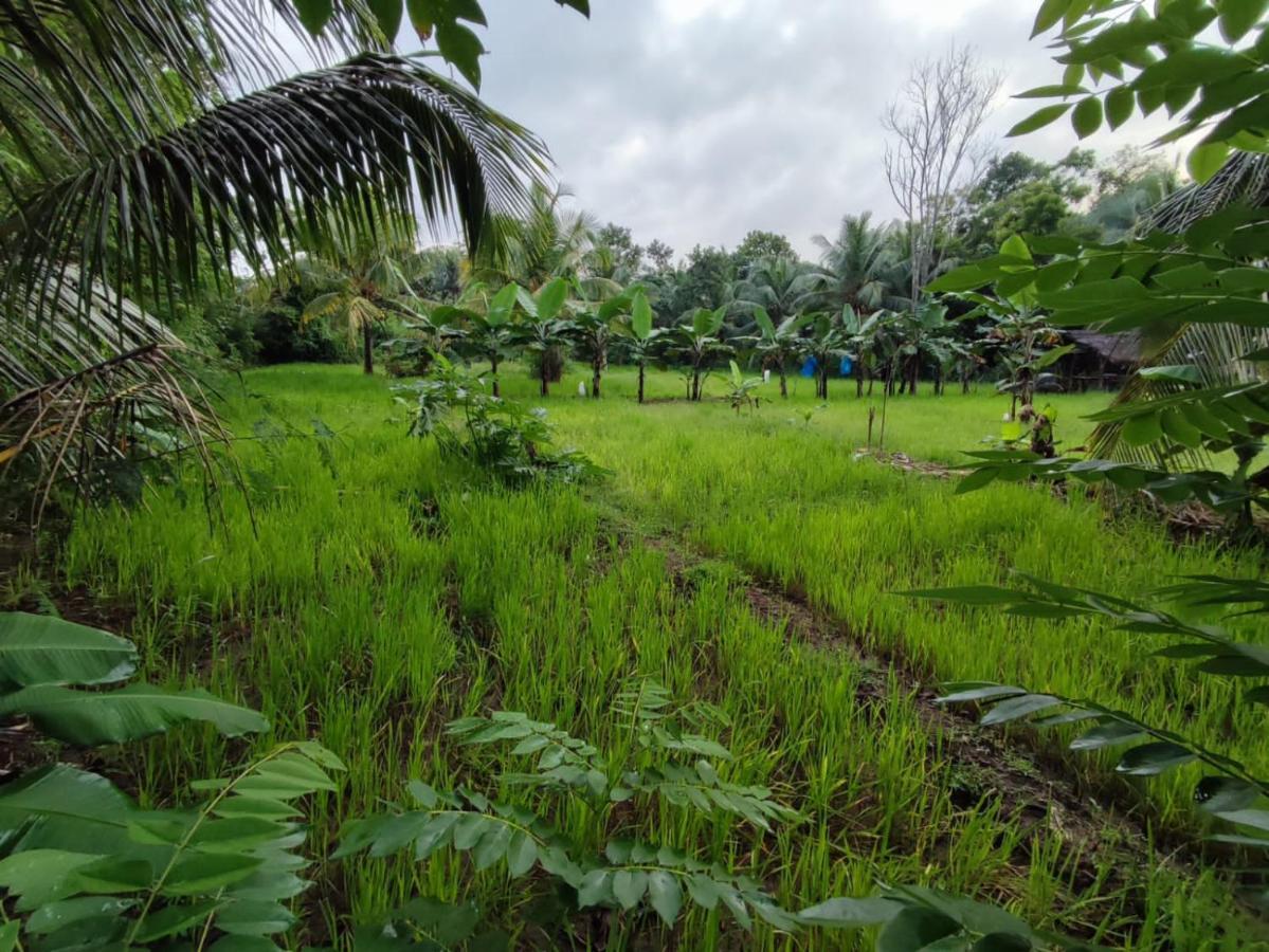 Sigiri Sandilu Homestay Sigiriya Exterior photo