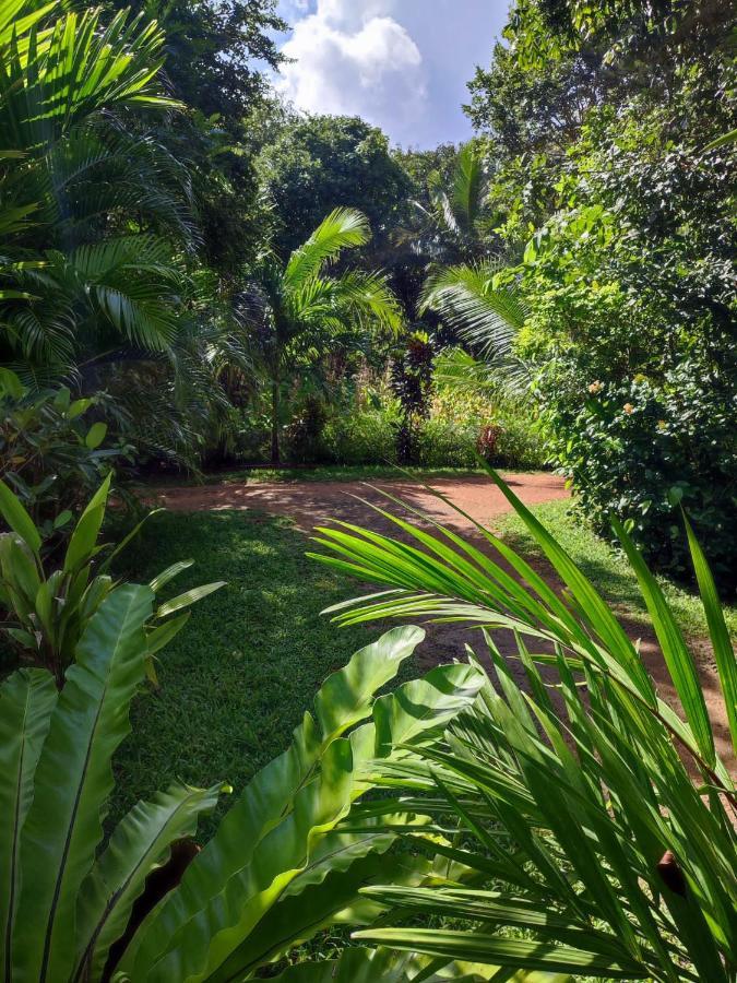 Sigiri Sandilu Homestay Sigiriya Exterior photo