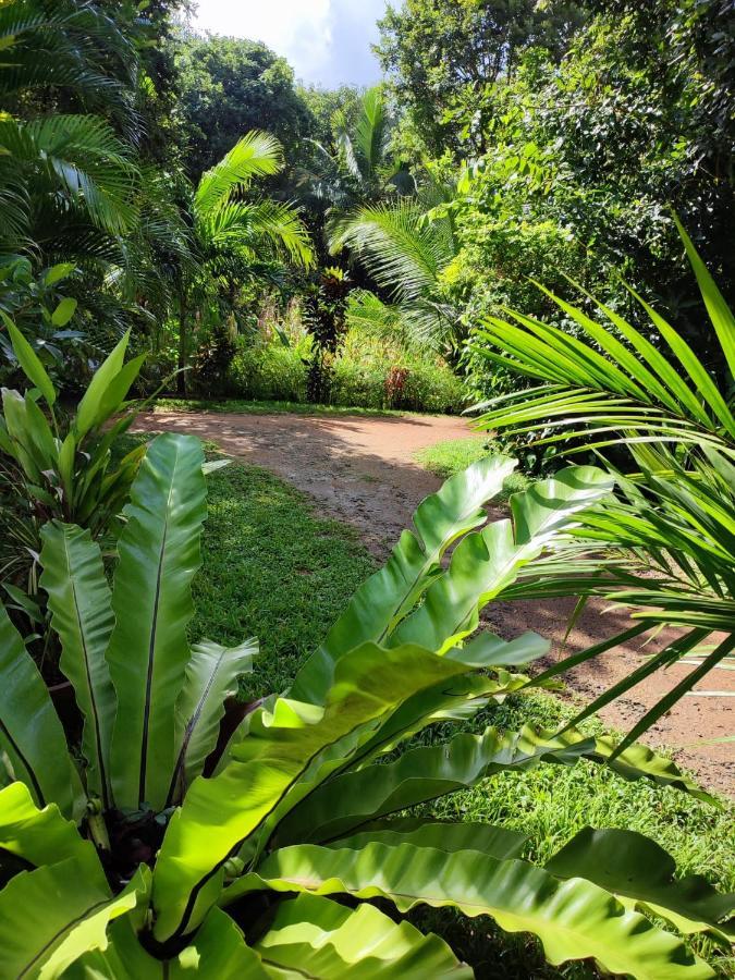 Sigiri Sandilu Homestay Sigiriya Exterior photo