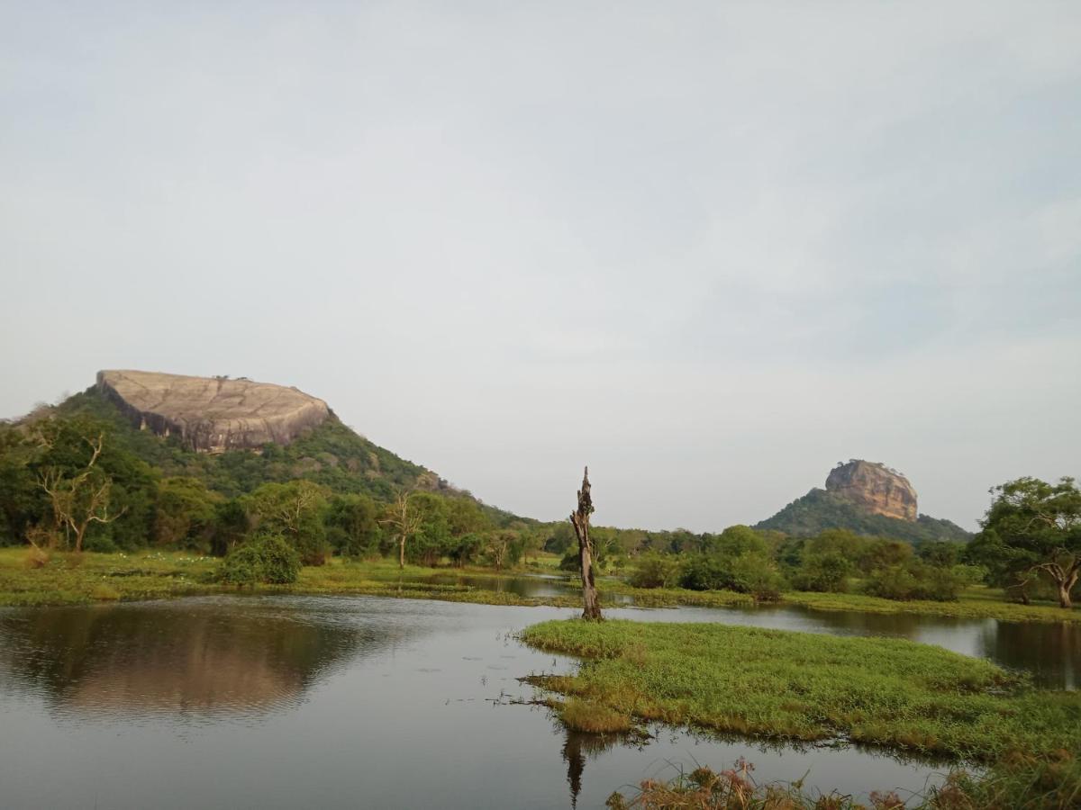 Sigiri Sandilu Homestay Sigiriya Exterior photo