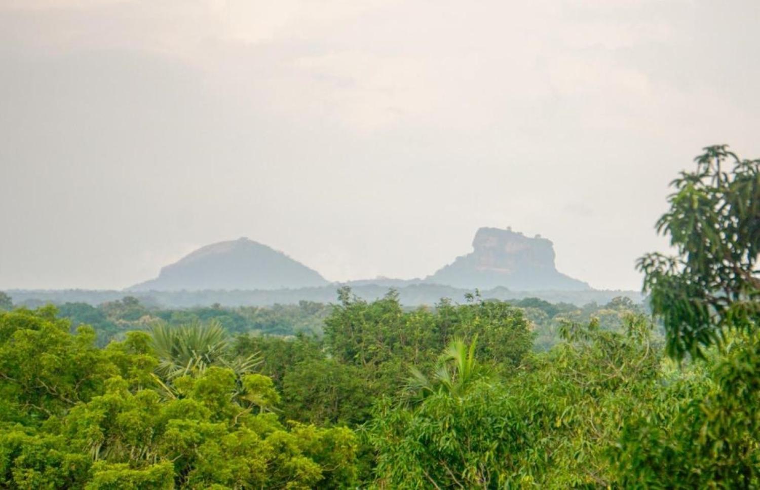 Sigiri Sandilu Homestay Sigiriya Exterior photo