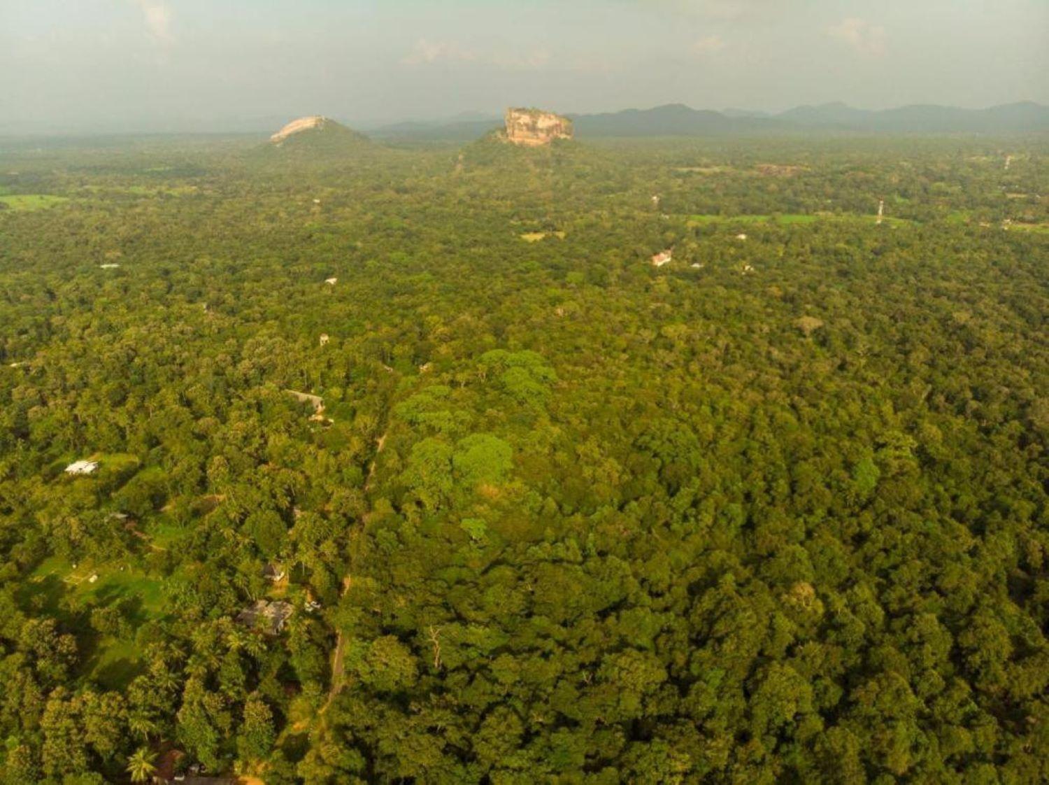 Sigiri Sandilu Homestay Sigiriya Exterior photo